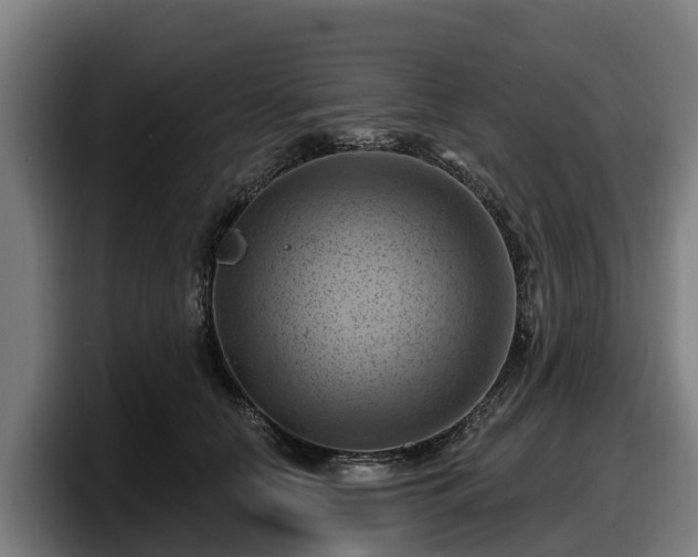 X0000097830658200803201459