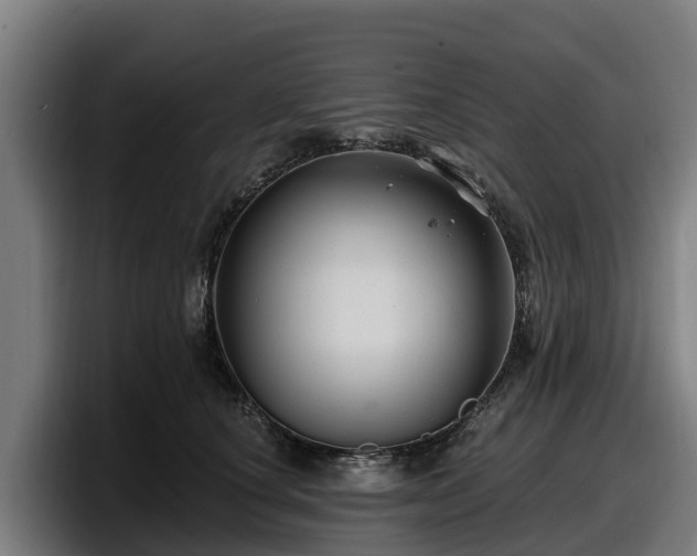 X0000097830660200803201459