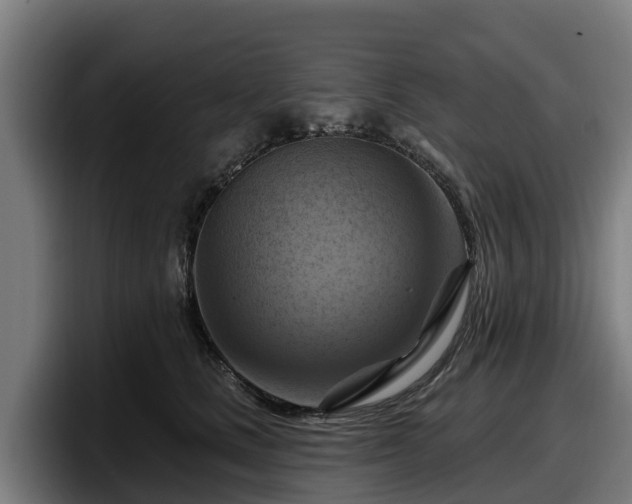X0000097830661200803201459