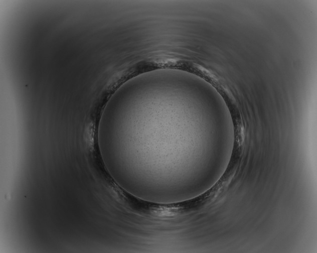 X0000097830664200803201459