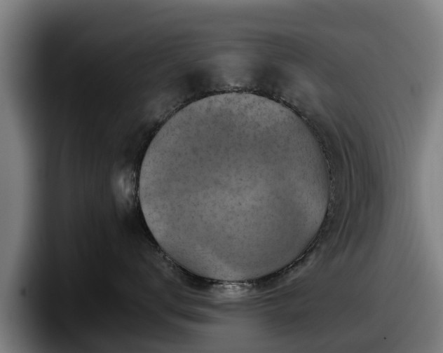 X0000097830672200803201459
