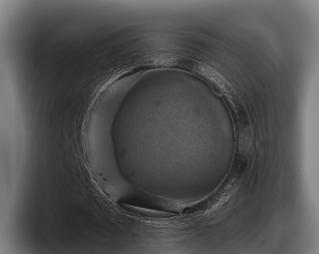 X0000097830673200803201458