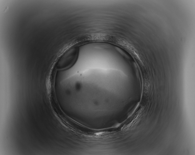 X0000097830674200803201458