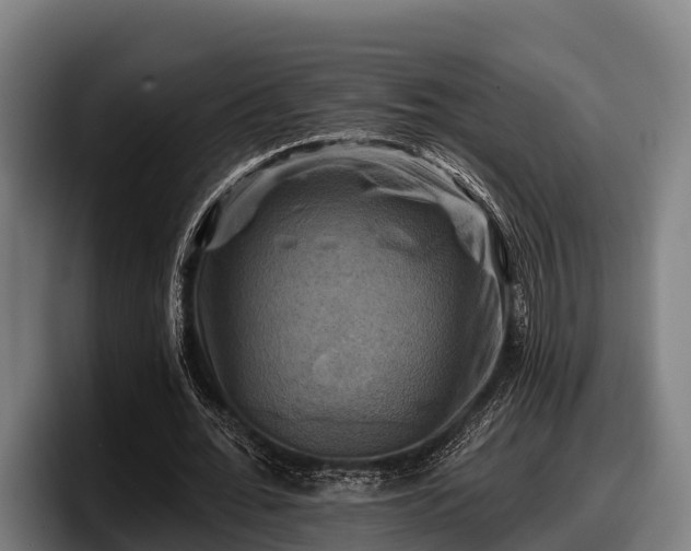 X0000097830676200803201458