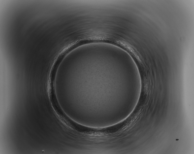 X0000097830677200803201458