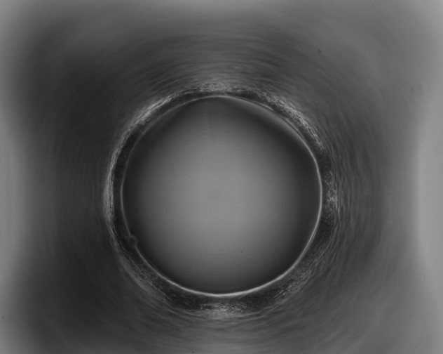 X0000097830678200803201458