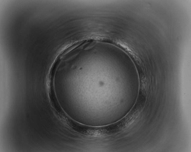 X0000097830679200803201458
