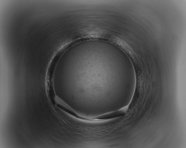 X0000097830680200803201458