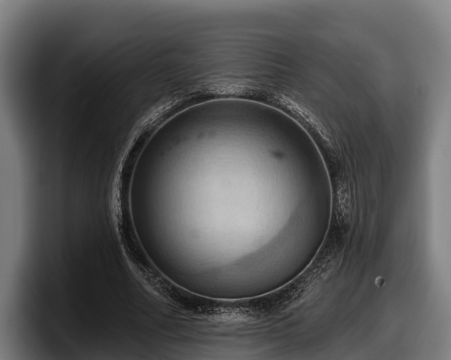 X0000097830682200803201458
