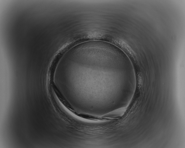 X0000097830684200803201458