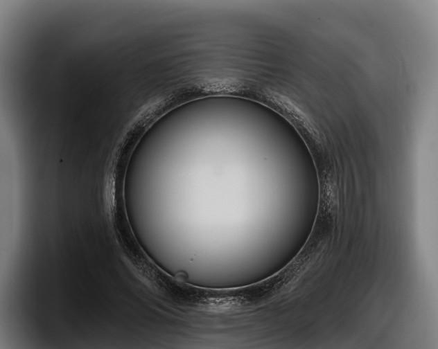 X0000097830686200803201458