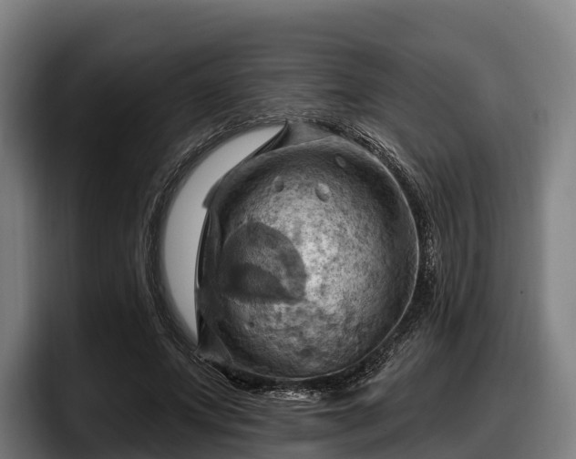 X0000097830687200803201458