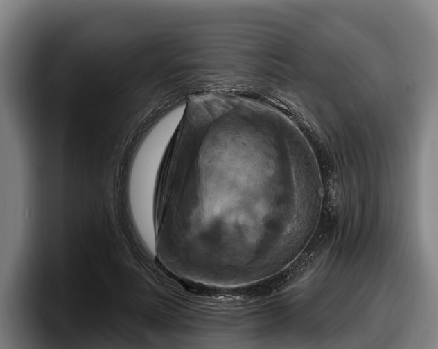 X0000097830691200803201458