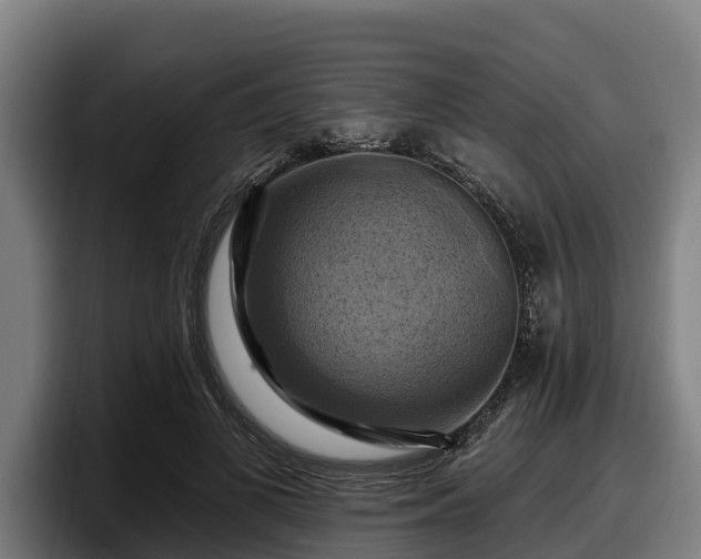 X0000097830693200803201458