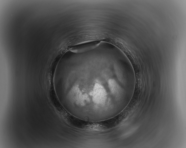 X0000097830695200803201458