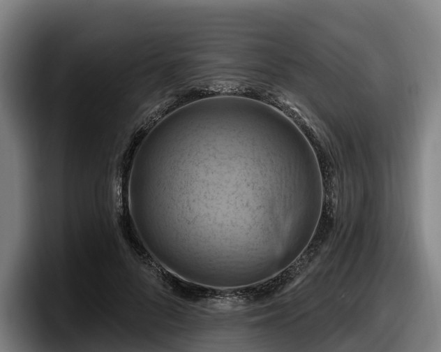 X0000097830696200803201458