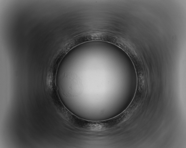 X0000097830698200803201458