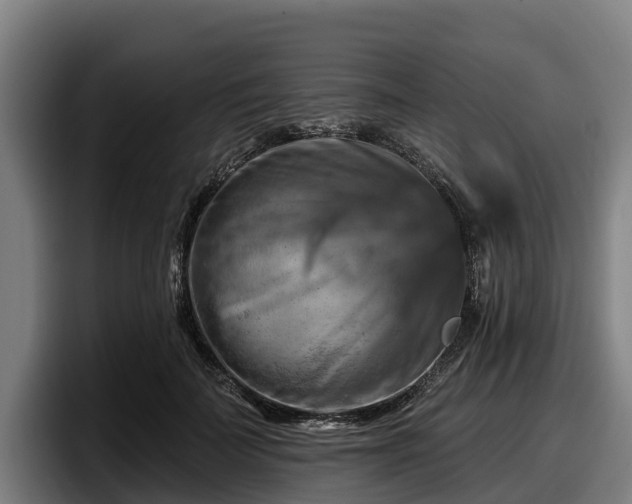 X0000097830699200803201458