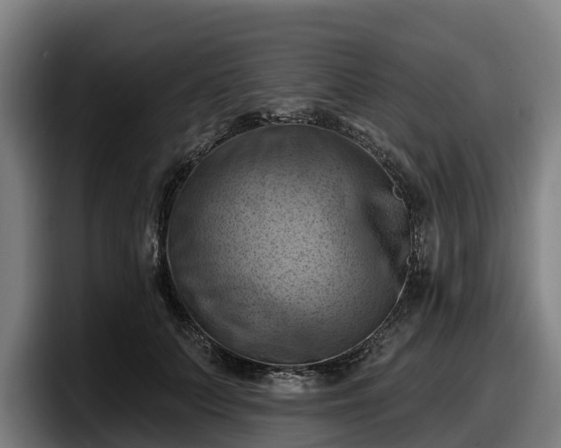 X0000097830703200803201458