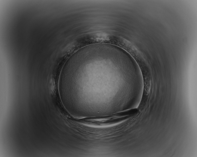 X0000097830704200803201458