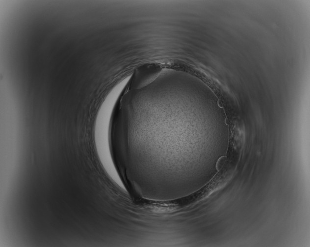 X0000097830707200803201458