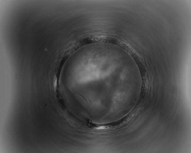 X0000097830711200803201458