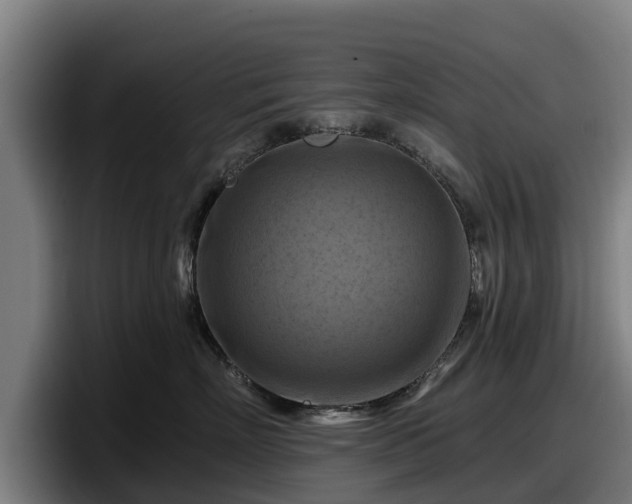 X0000097830718200803201458