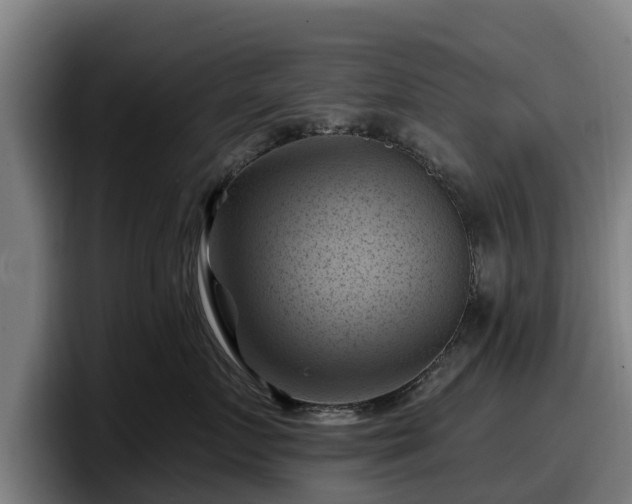 X0000097830719200803201458