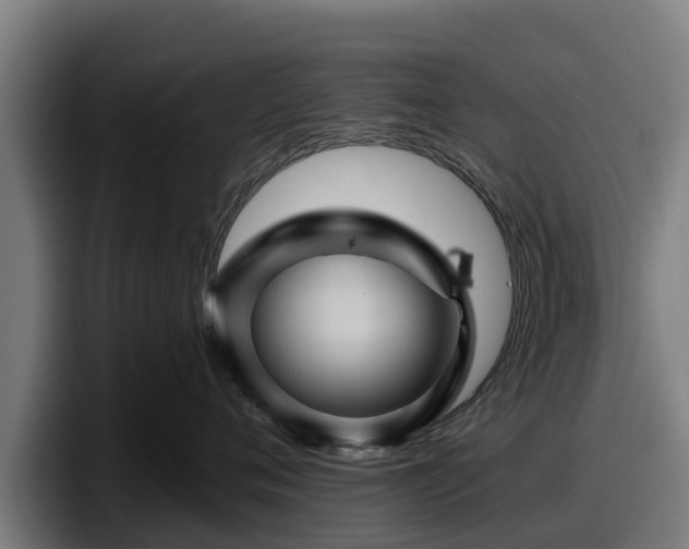 X0000097830720200803201458