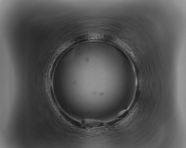 X0000097830721200803201457