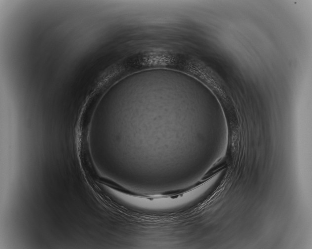 X0000097830722200803201457