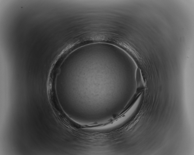 X0000097830723200803201457