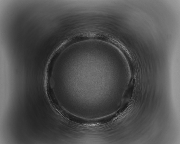 X0000097830724200803201457