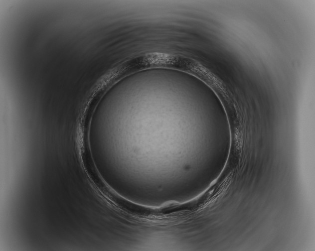 X0000097830725200803201457