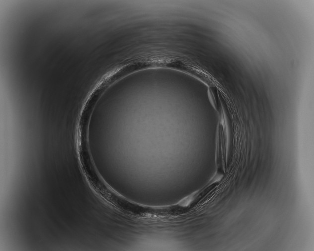 X0000097830726200803201457