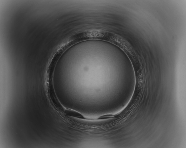 X0000097830727200803201457