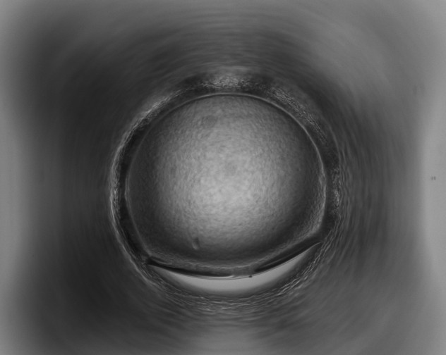 X0000097830728200803201457
