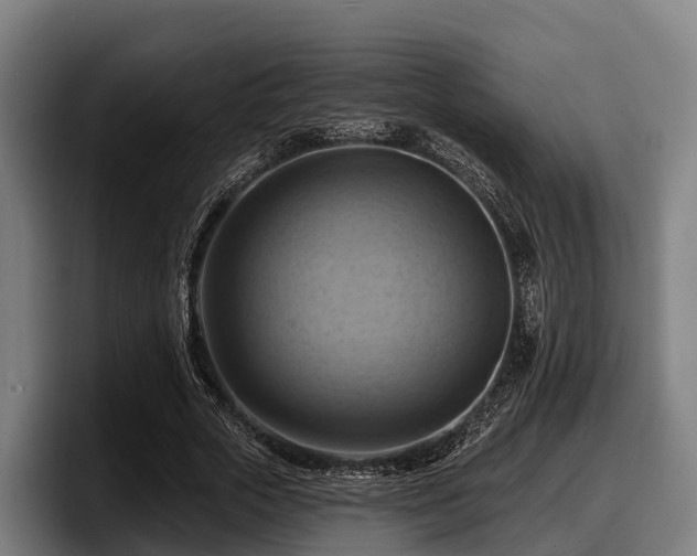 X0000097830729200803201457