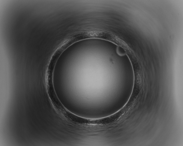 X0000097830730200803201457