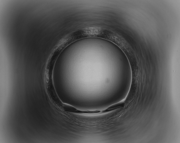 X0000097830731200803201457