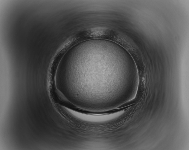 X0000097830732200803201457