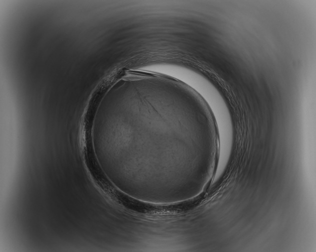 X0000097830734200803201457