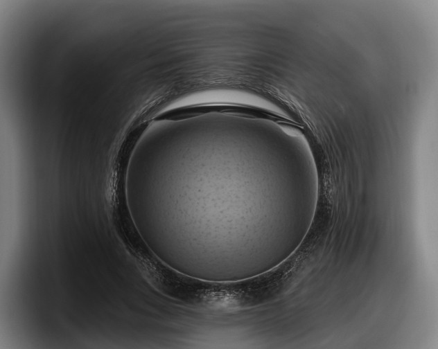 X0000097830735200803201457