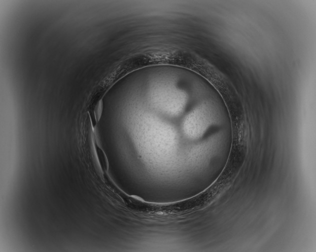 X0000097830737200803201457