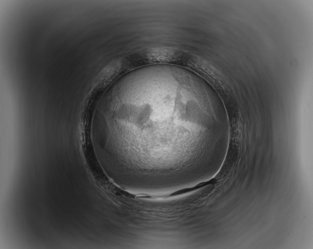 X0000097830738200803201457