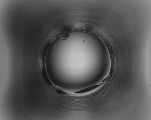 X0000097830746200803201457