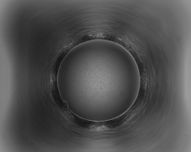 X0000097830747200803201457