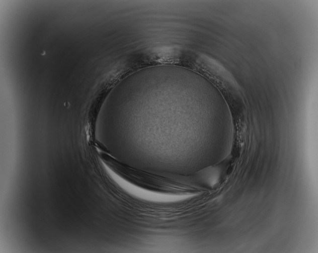 X0000097830748200803201457