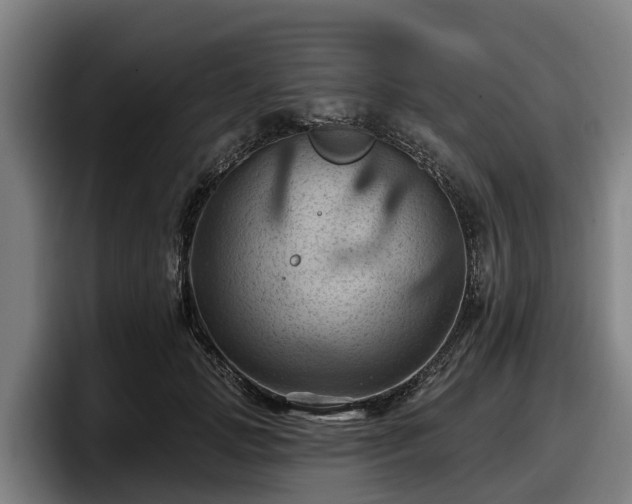 X0000097830749200803201457