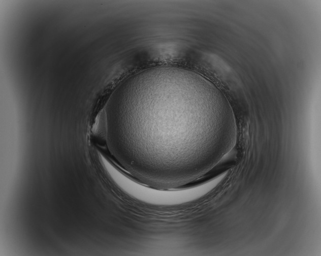X0000097830750200803201457